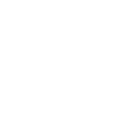 Ícone Fase 2
